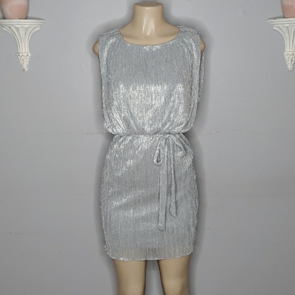 Silver Metallic Dress